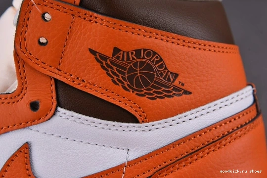 DO9369-101 DO9369-101 Starfish High Retro Jordan 1 OG 0216